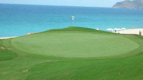 Oceanside Green at Cabo Real Golf Club 