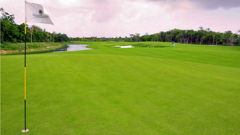 Grand Coral Riviera Maya Green