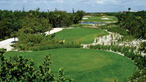 Riviera Cancun back tees