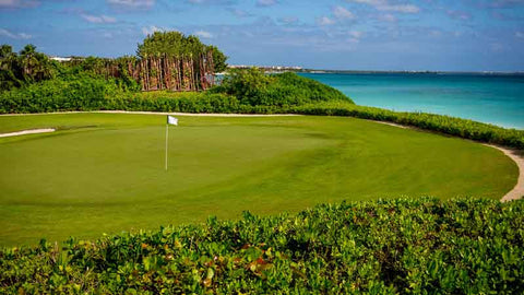 El Camaleón Mayakoba Signature Hole