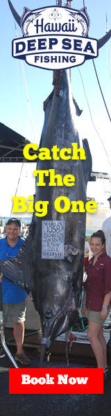 Hawaii Deep Sea Fishing Charters