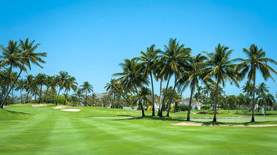 Puerto Vallarta Golf Tee Times | Winter 2027 Mexico Golf