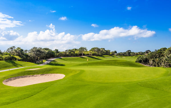 Iberostar Playa Paraiso Golf Club