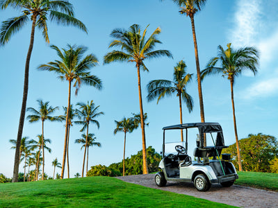 marina vallarta golf