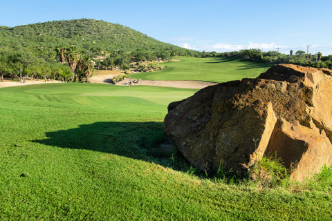 cabo del sol golf course tee times rock