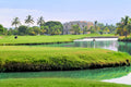 el tigre golf puerto vallarta