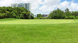 Puerto Cancun Golf Course Green