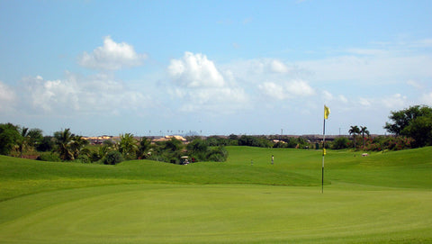 Flamingos Golf Course Green