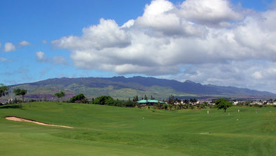Vista Vallarta Weiskopf fairway