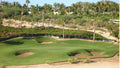 Palmilla bunkered green