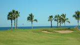 Palmilla Golf Club Signature Hole