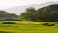 Greg Norman, Puerto Vallarta