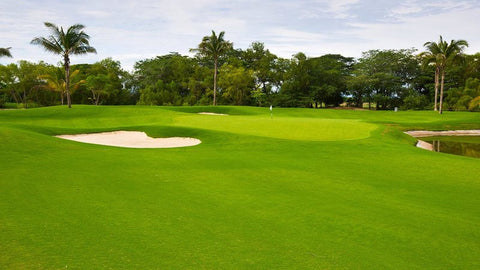 The Green, Norman Signature Golf Course at Vidanta Nuevo Vallarta