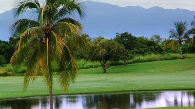 Flamingos Golf Course Signature Hole