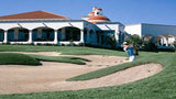 El Tigre Golf Club Bunker Shot